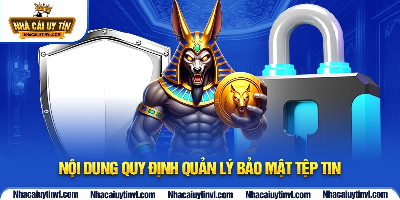 Nội dung quy định quản lý bảo mật tệp tin